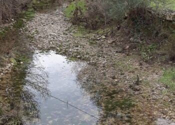 Estudo identifica variáveis que controlam efeitos da seca em ribeiros