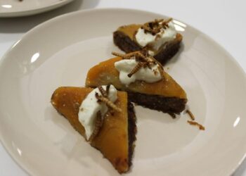 Goparity lança campanha para financiar projeto de desenvolvimento de proteína de inseto