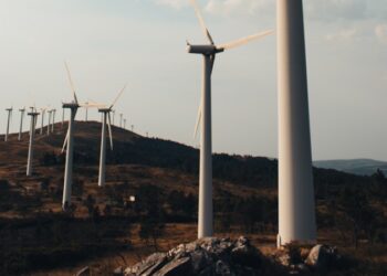 Grupo MF&A fatura mais 35% em 2022