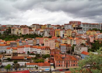 Projeto BUPi já georreferenciou 720 mil hectares