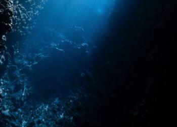 Açores recomendam a Governo que declare moratória à mineração em mar profundo