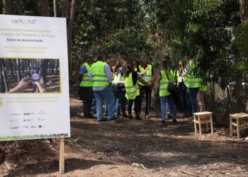 rePLANT apresenta soluções tecnológicas para gestão da floresta e do fogo