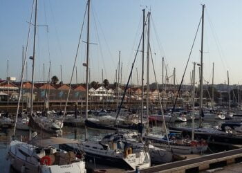 Doca de Santo Amaro renova galardão da Bandeira Azul