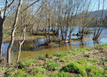 Arcos de Valdevez expande rede de Ecovias num investimento de mais de 500 mil euros