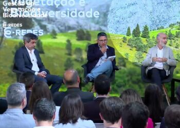 “Descentralizar” e “regionalizar” na questão dos fogos é essencial, defendem especialistas