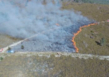 #Incêndios: ocorrências fora da época “normal” não devem ser todas encaradas como um problema