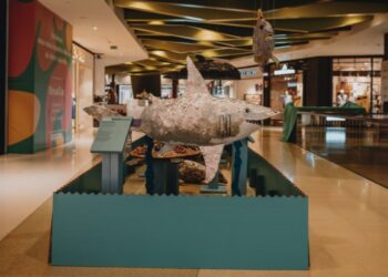 Objetos sem utilidade dão vida a exposição que retrata o ecossistema marinho