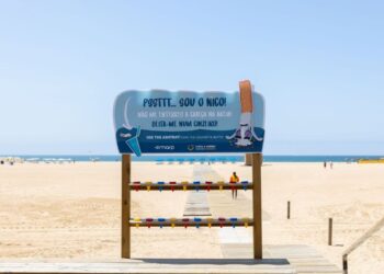 Portimão abre época balnear com instalação de estruturas de cinzeiros de praia