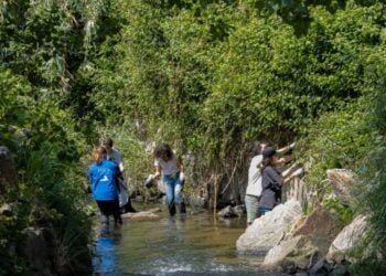 Jovens portuenses recolhem 340 quilos de resíduos em limpeza no rio Tinto