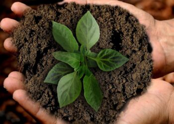 ZERO lança 5 desafios para acelerar a preservação da biodiversidade e dos ecossistemas em Portugal