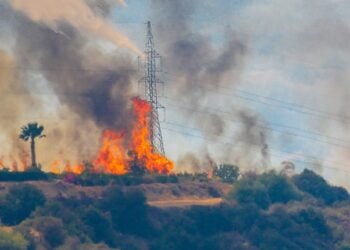 #Incêndios: “Não há incêndios sem ignições e essas dependem do comportamento das pessoas”
