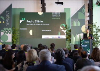 rePlant: sensores digitais e uso de robótica entre destaques para valorização da floresta