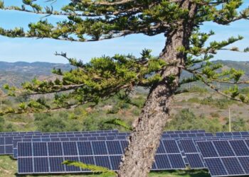 Águas do Algarve centra aposta na transição para fontes de energia limpa e renovável