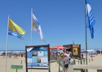 #Ambiguia: Como tornar uma ida à praia ainda mais sustentável?