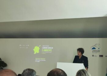 “Substituímos muito pouco as matérias-primas por materiais recuperados”, alerta Inês Costa