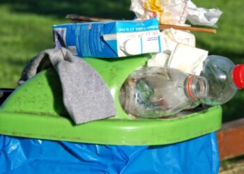 Qualidade do Serviço de Recolha Seletiva em Portugal: Afinal é ou não é boa?