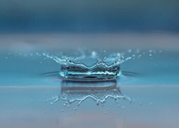 Escola de Verão sobre Sustentabilidade regressa com tema da água