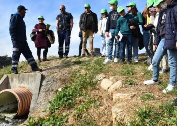 Águas do Ribatejo assinala Dia Nacional da Conservação da Natureza com apelos para um uso eficiente da água