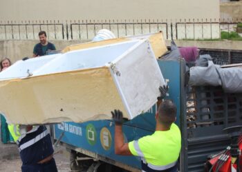 SMAS de Sintra fiscaliza deposição ilegal de resíduos em Queluz e Belas