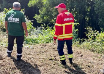 VITRUS inicia limpeza dos principais caminhos florestais no concelho de Guimarães