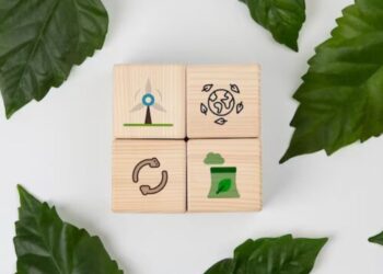 Certificação e consultoria ambiental: Como as empresas se podem preparar?