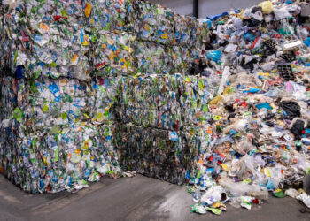 Cidadãos dos oito Municípios da LIPOR reciclam cada vez mais