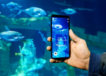 SEA LIFE Porto agora tem uma app para identificar espécies marinhas