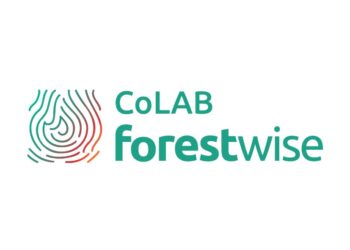 CoLAB ForestWISE assinala 5.º aniversário com cerimónia e abertura de nova sede