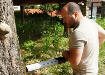 Gestão do arvoredo é aposta do Laboratório da Paisagem 