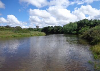 Estudo alerta para estagnação da biodiversidade dos rios na década de 2010
