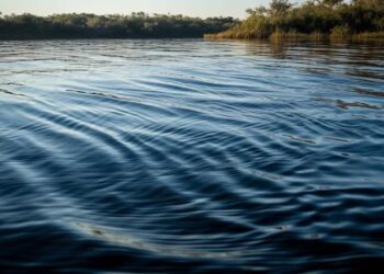 ASPEA promove atividades de sensibilização no Dia Nacional da Água
