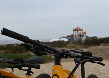 Município de Gaia quer bicicletas elétricas para uso dos funcionários