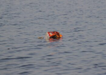 Conferência Portuguesa sobre Lixo Marinho e Microplásticos acontece a 21 e 22 de setembro