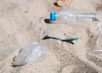 Fundação Oceano Azul promove ações de limpeza costeira e subaquática
