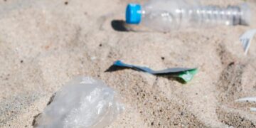 Fundação Oceano Azul promove ações de limpeza costeira e subaquática