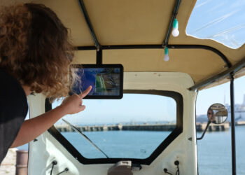 Biliti Electric traz veículos elétricos de três rodas para passageiros a Portugal