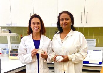 Estudo identifica riscos da contaminação de nanoplásticos e metais nos ecossistemas de água doce