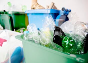 EGF apela à participação dos cidadãos nos PAPERSU 2030