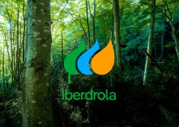 Iberdrola avançou com a limpeza da Mata Nacional da Machada
