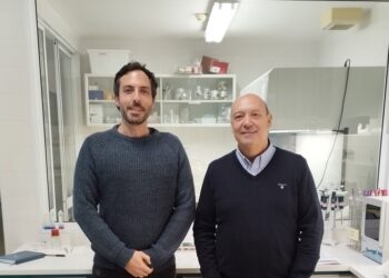 Cientistas criam produto à base de resíduos florestais e fungos que pode ser usado na construção