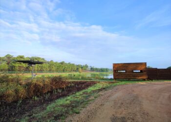 Primeira visita ao Observatório de Aves da Estação Elevatória de Santo André acontece este sábado