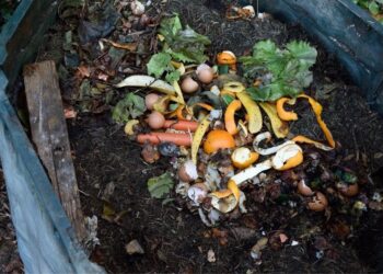 Comunidade Intermunicipal do Algarve assina novo protocolo com Fundo Ambiental para biorresíduos