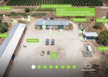 O papel da tecnologia e da inovação nas Smart Cities e no Smart Farming