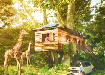 Iberdrola oferece benefício de 50€ para novas adesões a energia verde