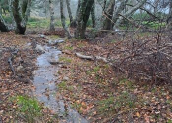 ICNF ordena encerramento de Parque de Campismo na Serra da Estrela por descargas poluentes