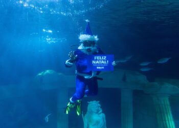 Pai Natal mergulha no SEA LIFE Porto com desejos das crianças para os oceanos