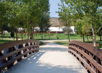 Torres Vedras na “lista A-” das cidades líderes mundiais na ação climática