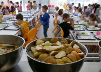 Torres Vedras é Embaixador Compras Públicas Ecológicas 2023