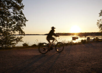 Securitas quer reduzir emissões de GEE em 42% até 2030