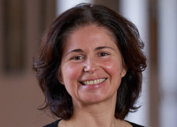 Universidade de Coimbra lidera projeto europeu focado na saúde das abelhas melíferas e na apicultura sustentável